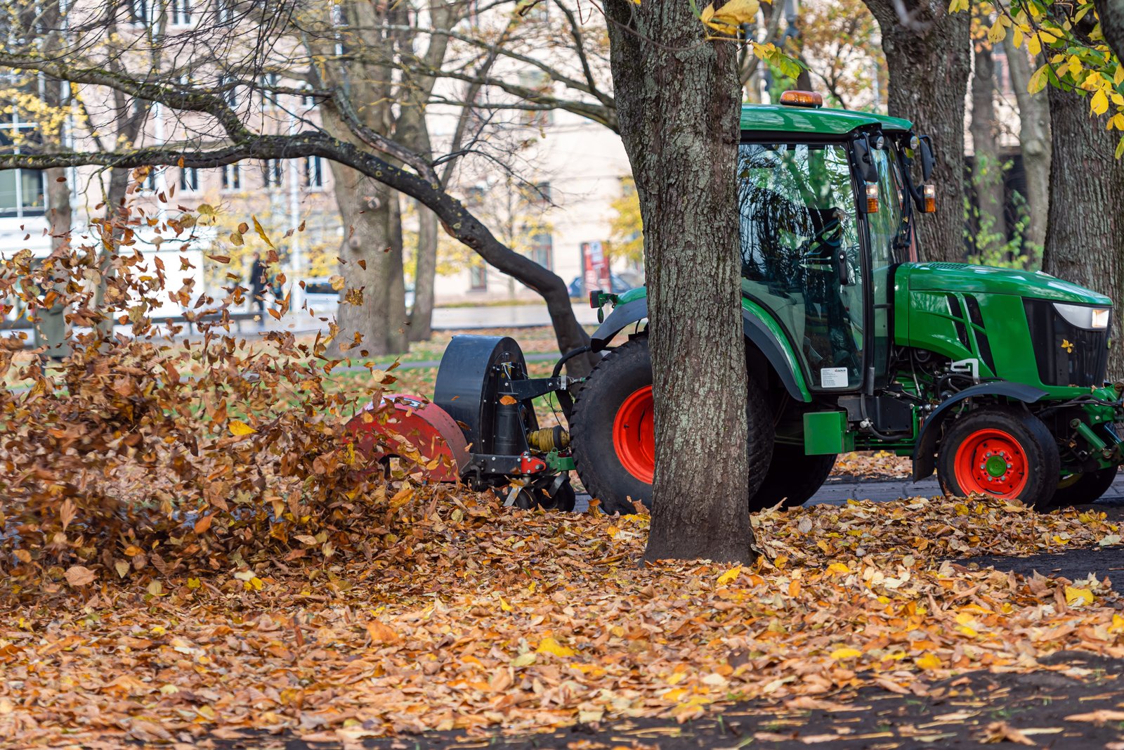 a tractor with a blower cleans a city park lawn and blows away autumn leaves